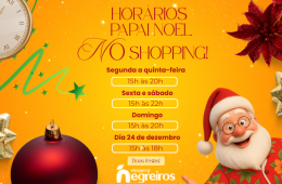 Papai Noel Shopping